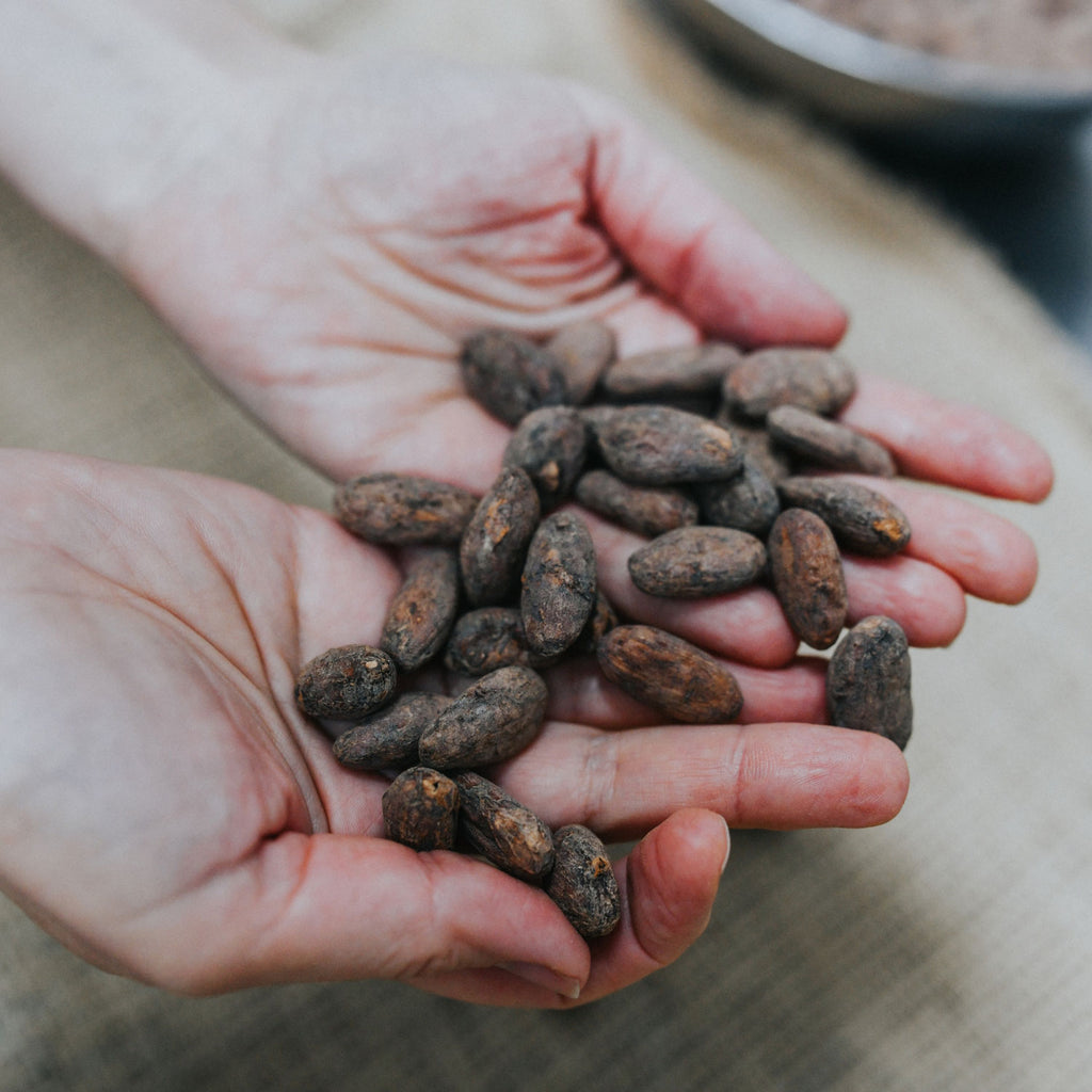 Two hands holding a pile of ethically sourced cacao beans.